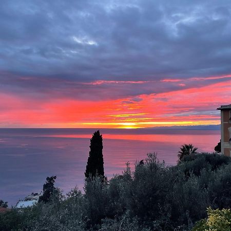 Villa Mortola คาโมยลี ภายนอก รูปภาพ